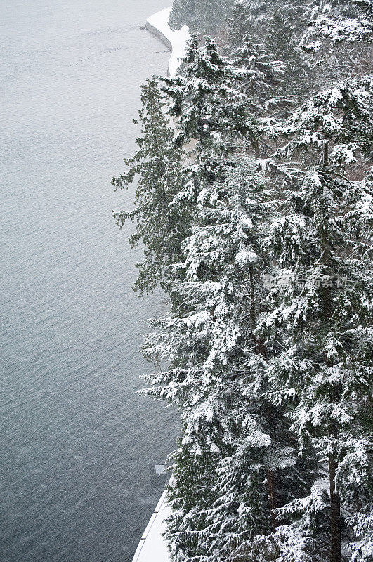 在湿漉漉的雪地里行走