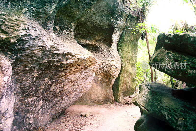 格罗夫风景保护区，高卡，塔斯曼地区，新西兰