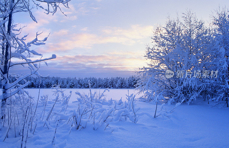 冬天的风景