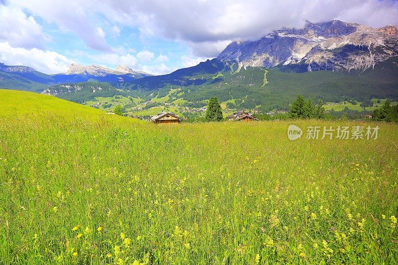 田园诗般的克里斯托洛山脉，野花盛开的春天，壮观的全景和雄伟的白云石，意大利泰洛阿尔卑斯山