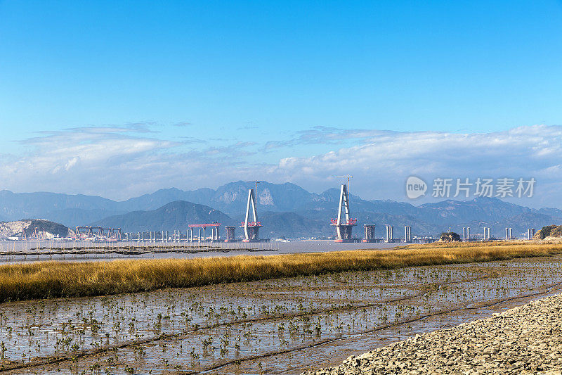 中国浙江乐清湾第二跨海大桥建设。