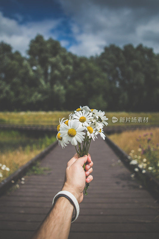 鲜花和夏天