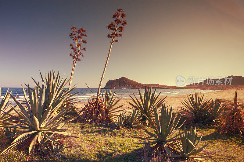 西班牙阿尔梅里亚卡波德加塔自然公园热那亚海滩上的日落