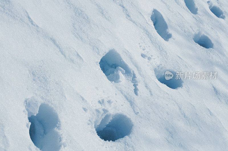 深雪中的脚印(5000万像素)