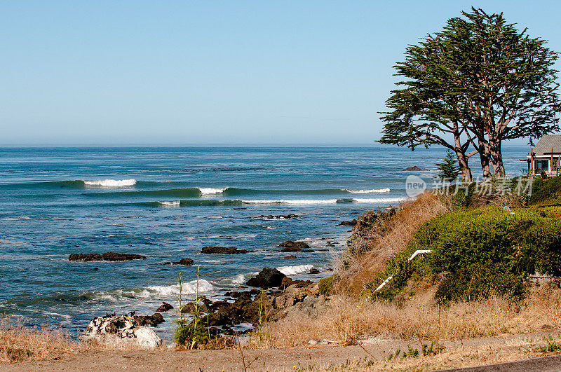 加州冲浪检查