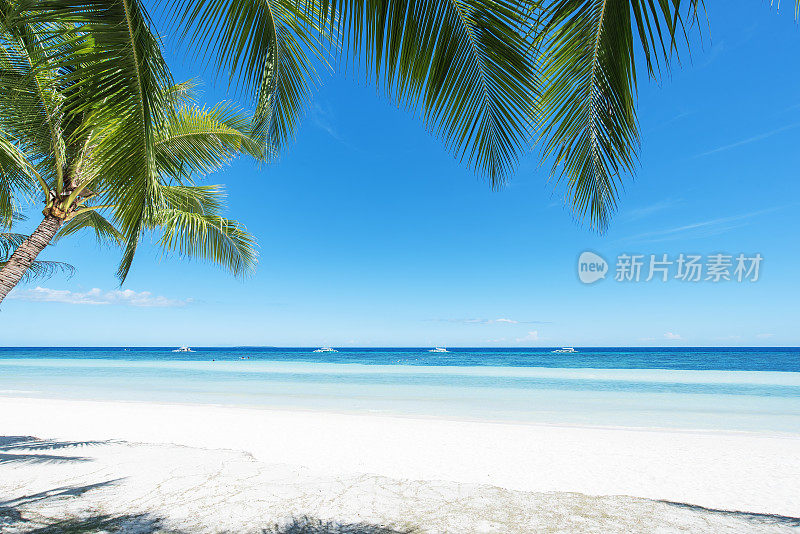 热带天堂海滩复制空间场景