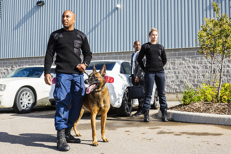 两名K-9专业安保人员和一名比利时马里诺犬进行个人保护。