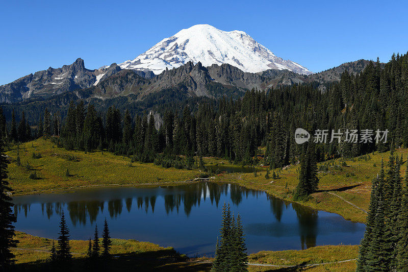 蒂普苏湖和雷尼尔火山