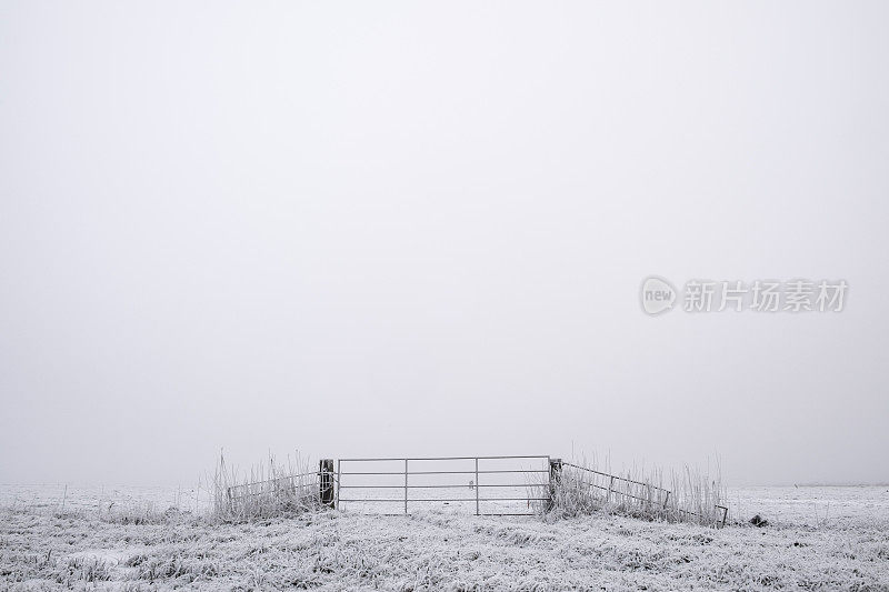 薄雾清晨的冬日美景