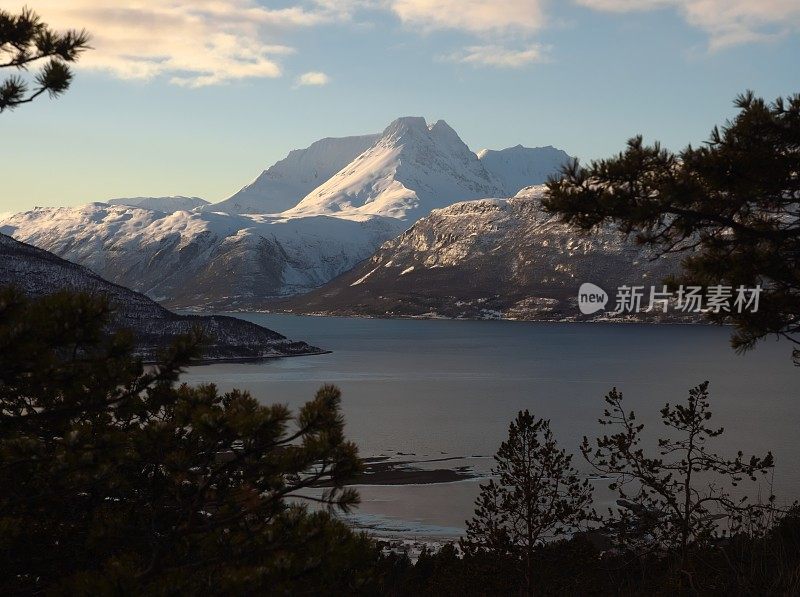 林登阿尔卑斯山的森林景观