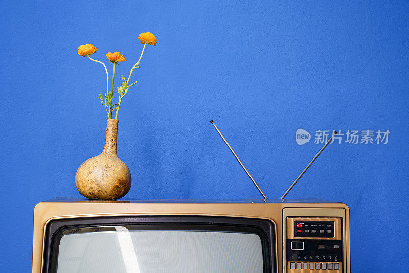 老式电视上葫芦花瓶里的毛茛花