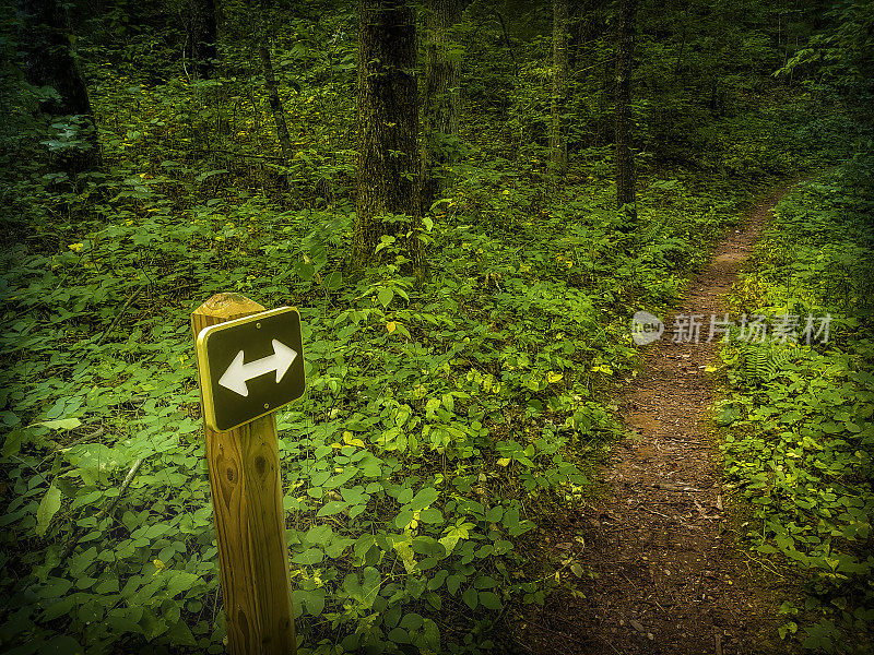 阿巴拉契亚山脉有路标的徒步旅行路线