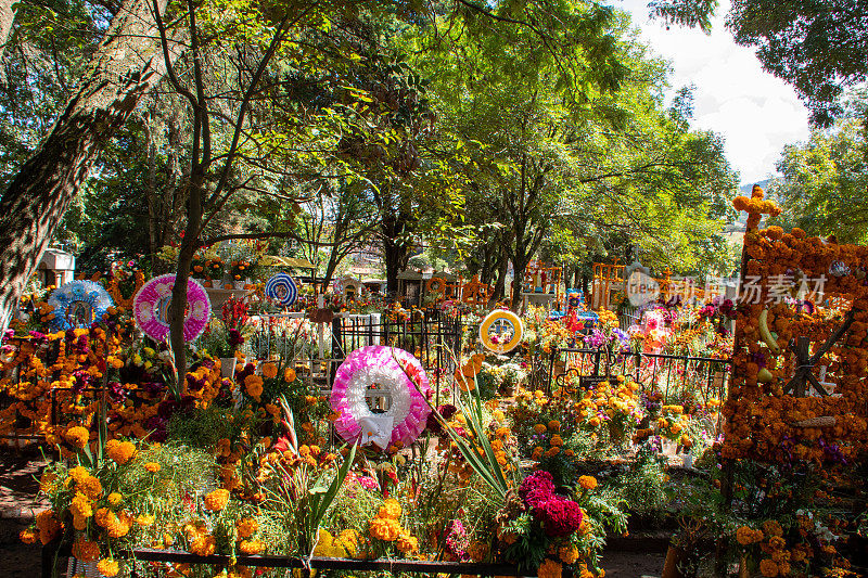 亡灵节墓地鲜花装饰