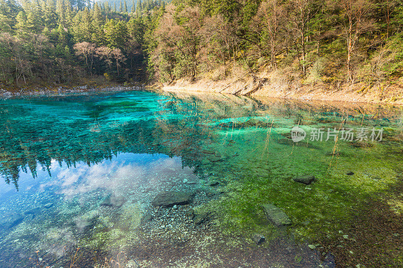 在九寨沟自然(九寨沟国家公园)的秋林中，五花湖(五花湖)清澈的水令人惊叹的景色