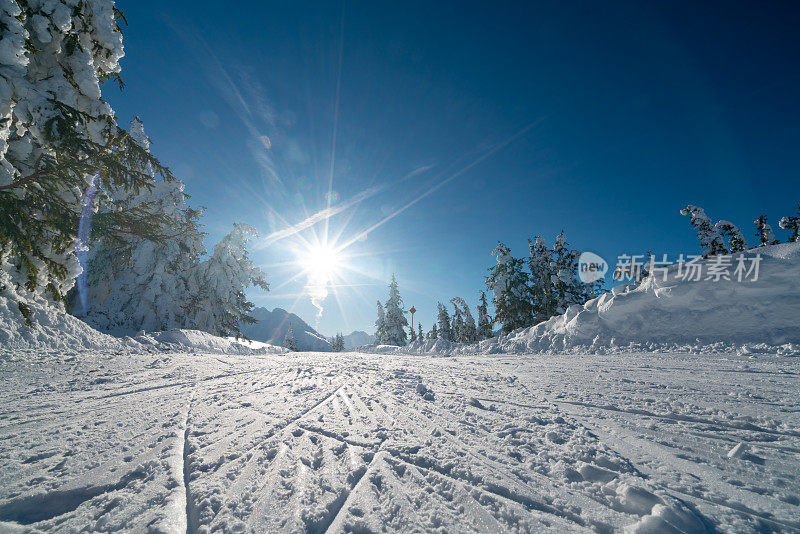低角度视图连接滑雪坡在阳光明媚的冬天的一天