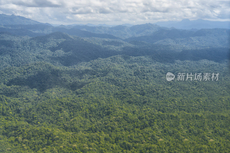 婆罗洲热带雨林，高角度视角