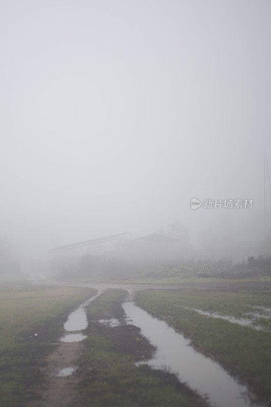 有雾的乡村道路