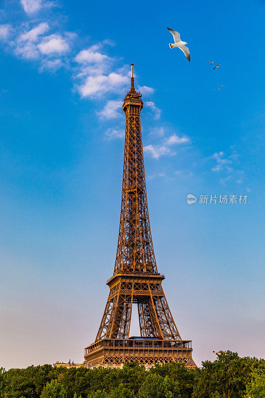 日落时分的巴黎埃菲尔铁塔和塞纳河。艾菲尔铁塔是巴黎最具标志性的地标之一。夏天的埃菲尔铁塔，法国巴黎。法国巴黎的埃菲尔铁塔。
