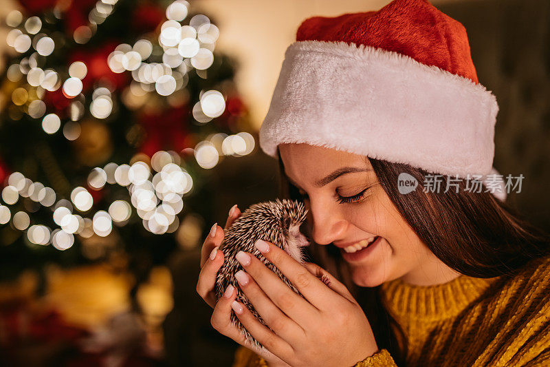 圣诞节的女人和她的刺猬