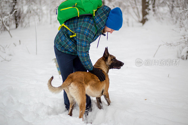 比利时牧羊犬马利诺犬在雪中与一名男子玩耍