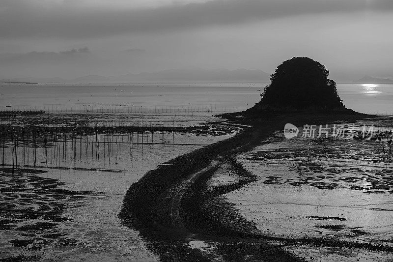 阳光普照在福建霞浦海岸的泥滩上