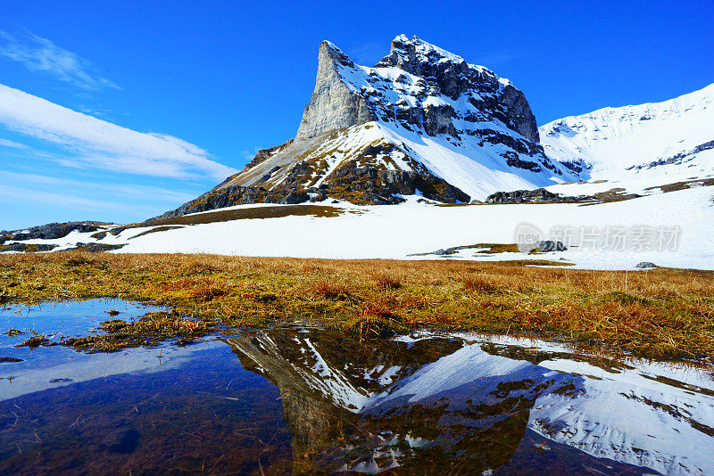 斯瓦尔巴特山脉和峡湾全景