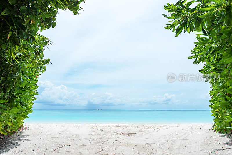 夏季海滩与绿松石海复制空间场景