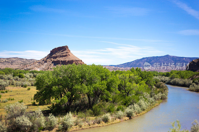 阿比奎，NM:春天俯瞰里约热内卢Chama