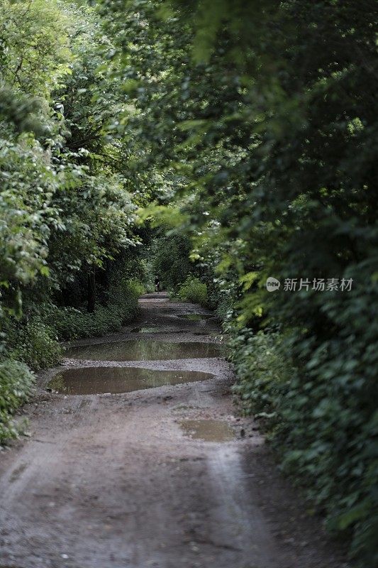 乡间小路