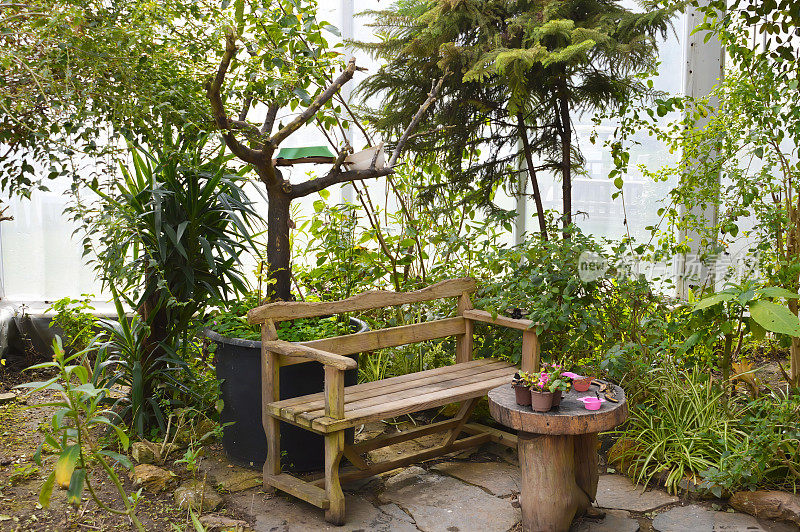 带花的木凳，后院有植物花园