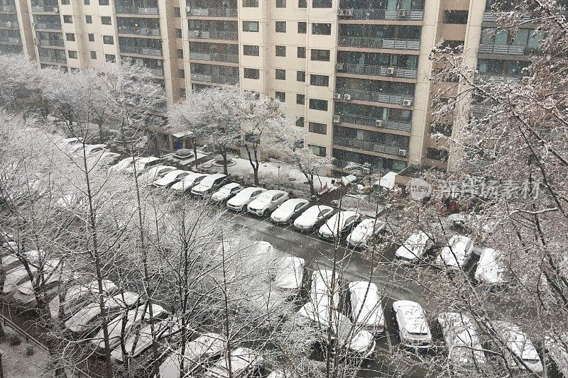 首尔的第一场雪