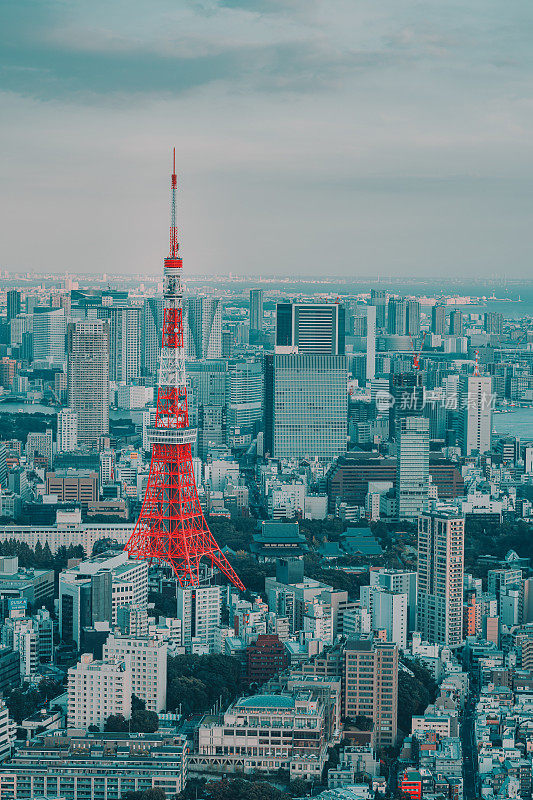 日本黎明时分的东京市景