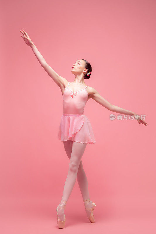 年轻美丽优雅的芭蕾舞者，芭蕾舞者舞蹈孤立在粉红色的工作室背景。艺术，运动，动作，灵活性，灵感概念。