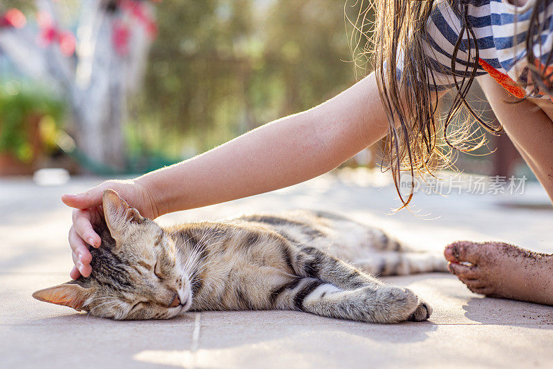 一个陌生的小女孩抚摸着猫