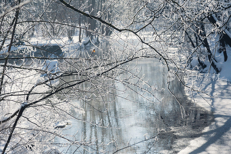 冬季河道景观