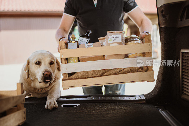 宠物狗与人携带食品箱在汽车后备箱