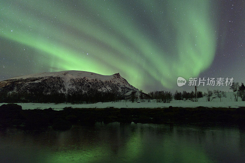 北极光，北极光或北极光出现在挪威北部罗浮敦群岛的夜空中