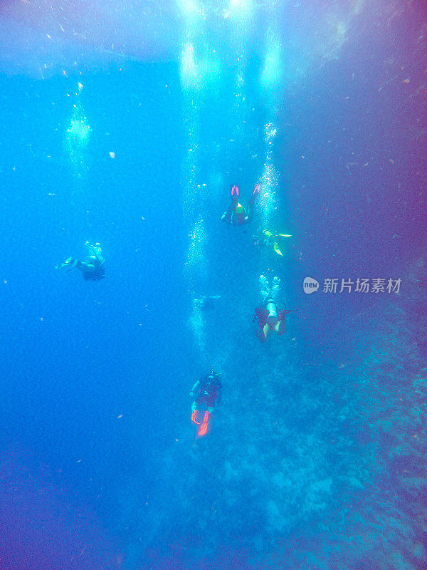 潜水员沿着红海的一堵墙深入海底