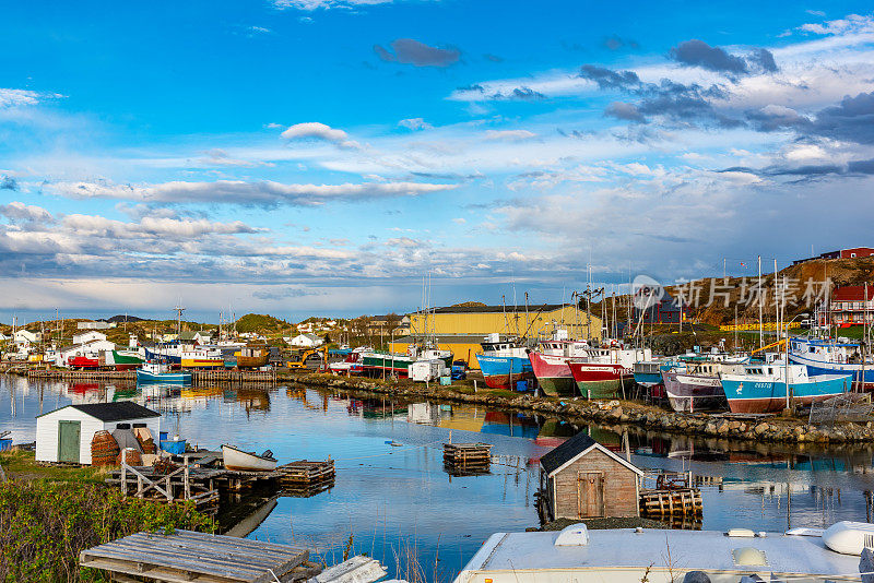 加拿大，Twillingate，港口和渔船的早晨