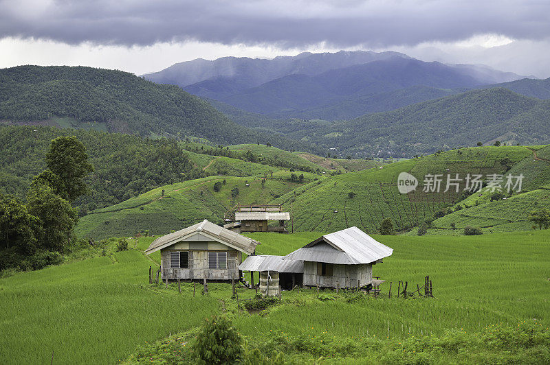 梯田，清迈，泰国