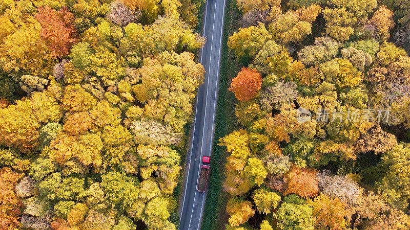 森林公路上卡车的鸟瞰图