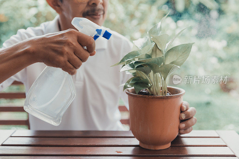 在花园里用手给植物浇水。喷洒。