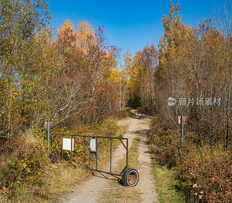 秋天的风景——有门的土路旁的五颜六色的树