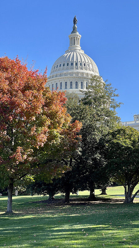 秋天的华盛顿特区国会山