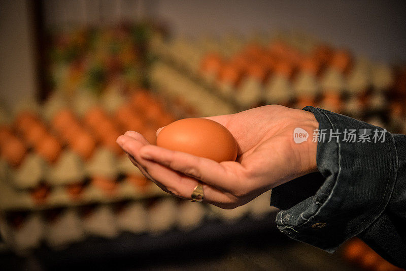 一只手拿着一个鸡蛋