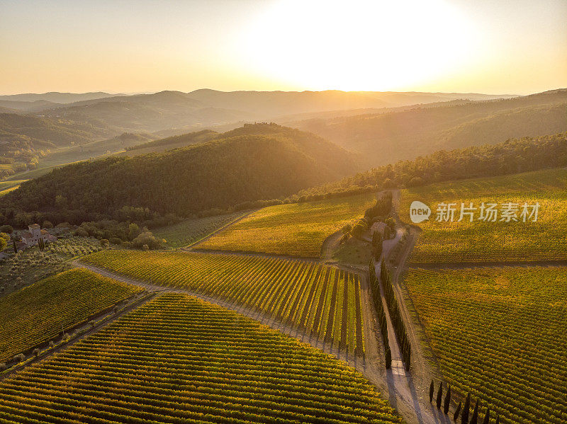 葡萄园景观在托斯卡纳，基安蒂地区