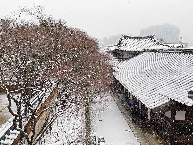 首尔的雪天