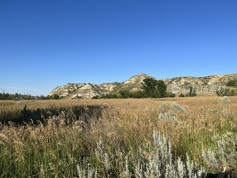 北达科他州西奥多·罗斯福国家公园的草地和荒地