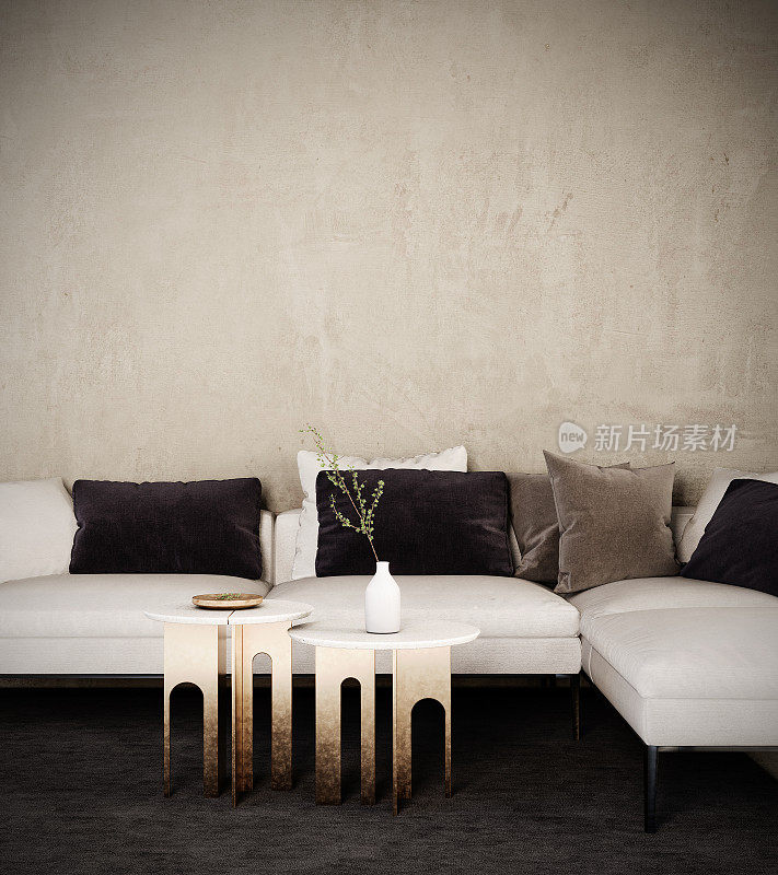 现代的室内设计，白色沙发和空的混凝土墙背景。
