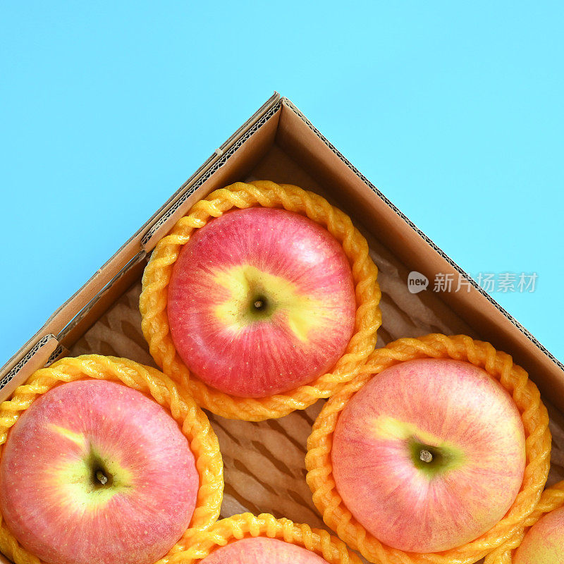 蓝色背景的盒子里有漂亮的粉色苹果